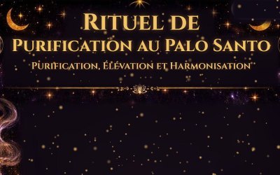 Illustration de l'article : Rituel de purification au Palo Santo
